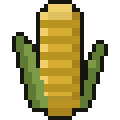 Corn