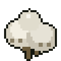 Raw Cotton