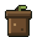 Tree Seed
